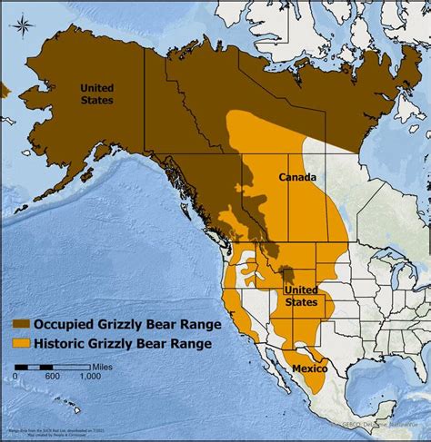 grizzly bear identification map.